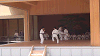 ise12 (122)_samu.gif